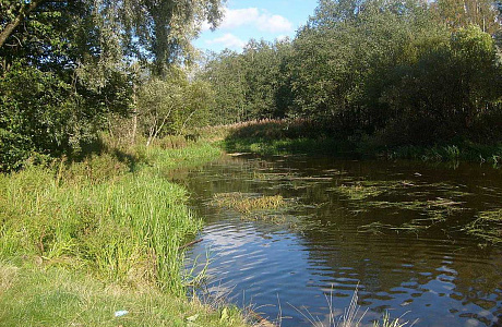 Парк Зверинец