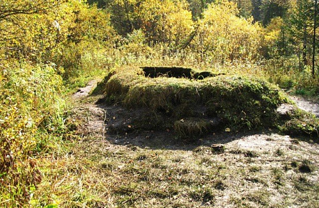 Таловские Чаши