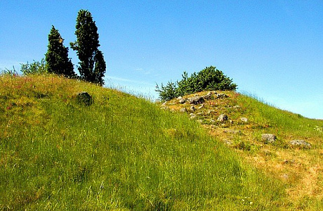 Бирка

	
