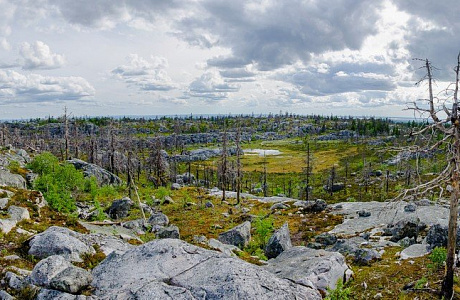 Карелия