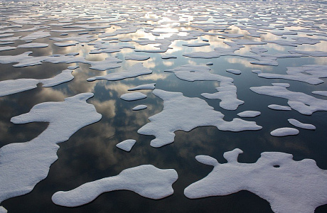 Море Дейвиса

	

