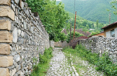 Шеки
	

