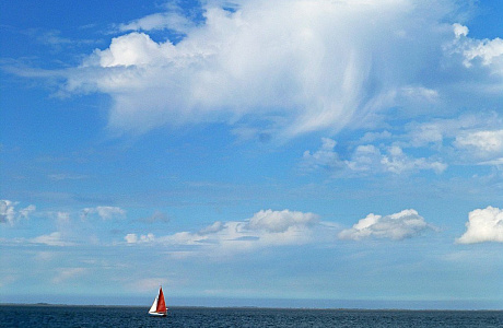 Вадденское море
