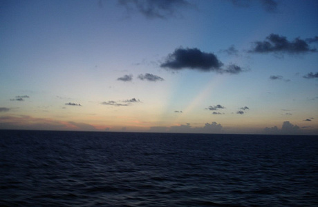 Саргассово море