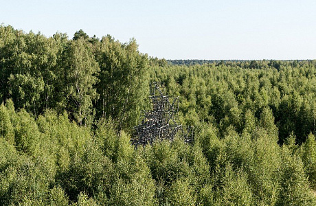 Никола-Ленивец