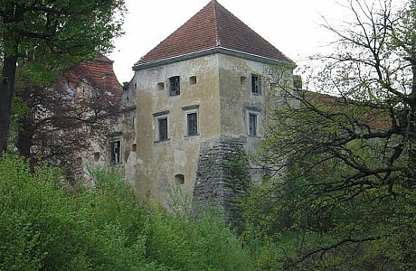 Свиржский замок