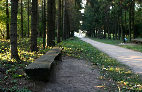 Краснокутский дендропарк

	
