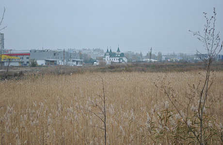Бельцы