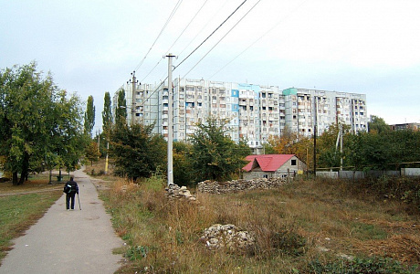 Сороки