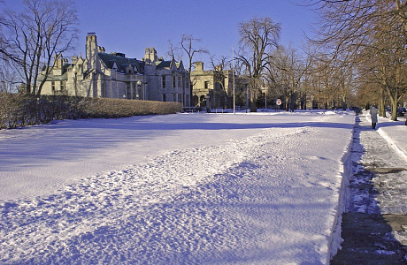 Буффало