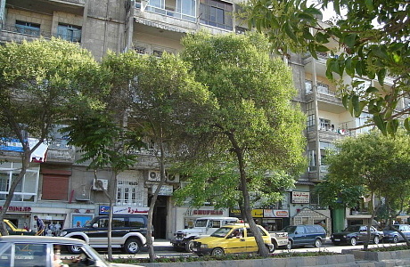 Алеппо