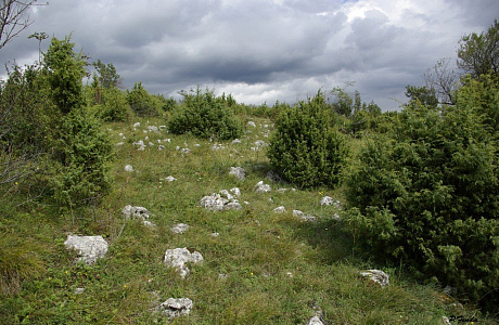 Словацкий Карст