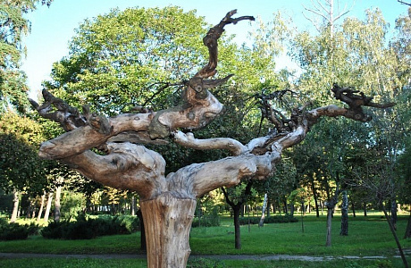 Бельцы
