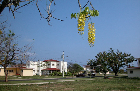 Тарара