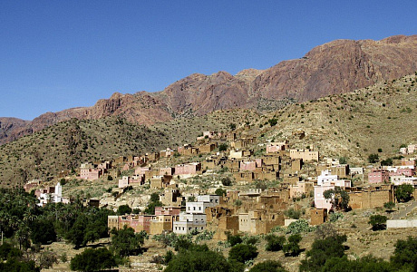 Тарудант