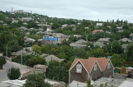 Сороки