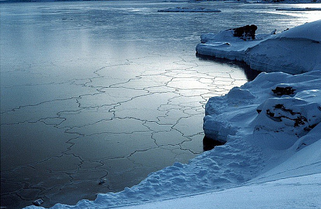 Море Беллинсгаузена