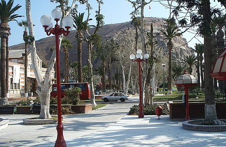 Арика