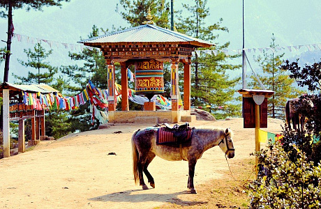Такцанг-лакханг