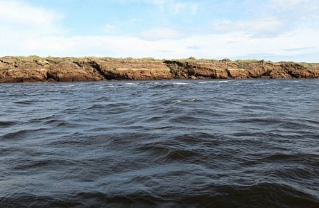 Таймырский заповедник