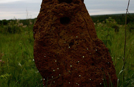 Национальный парк Эмас