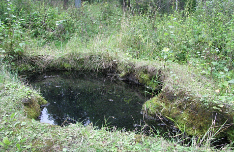 Таловские Чаши