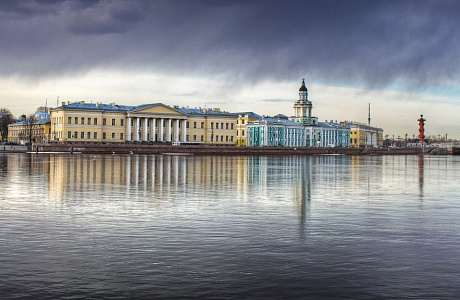 Кунсткамера

	
