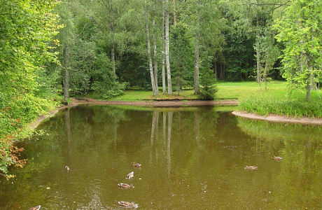 Усадьба Михайловское

	
