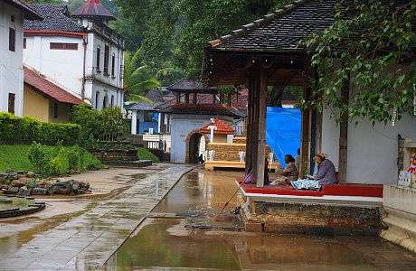 Канди