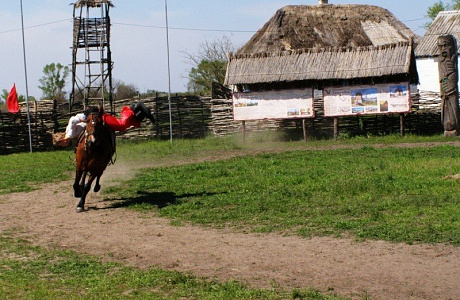 Казацкий хутор Галушковка

	
