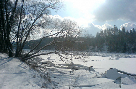 Алитус
