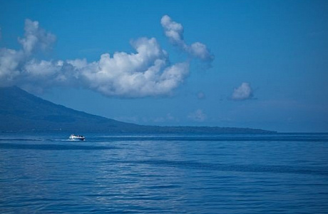 Молуккское море