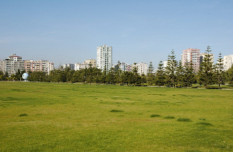 Адана