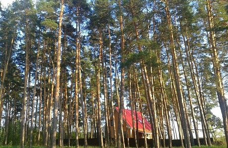 Трегуляй