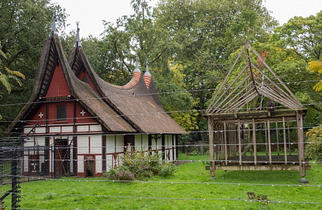 Зоопарк в Амстердаме

	
