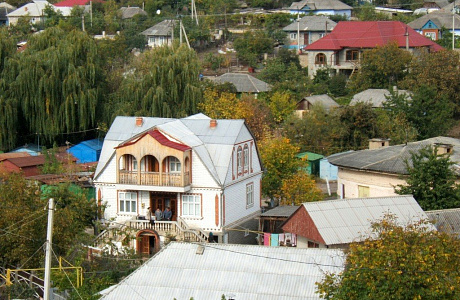 Сороки
	

