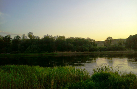 Оренбургский заповедник