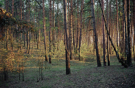 Приокско-Террасный заповедник