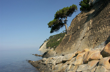 Черное море