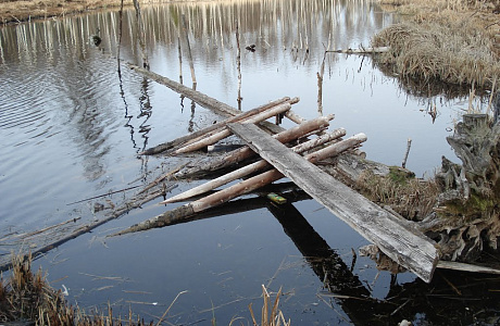 Парк Зверинец