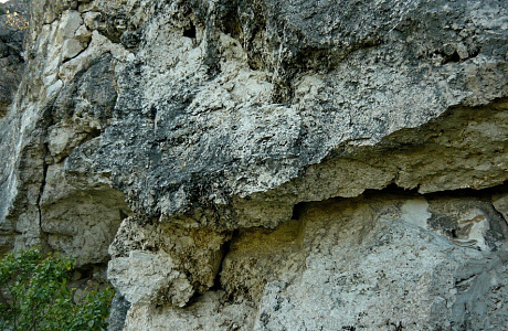 Подольские товтры