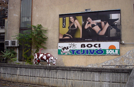 Сегед