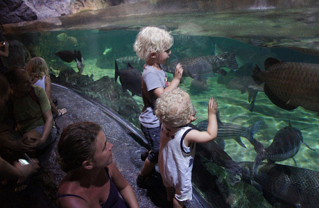 Океанариум Siam Ocean World в Бангкоке

	

