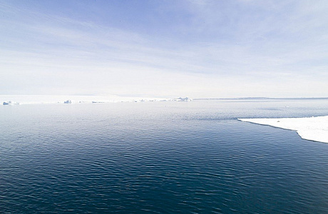 Море Дюрвиля

	
