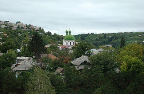 Сороки