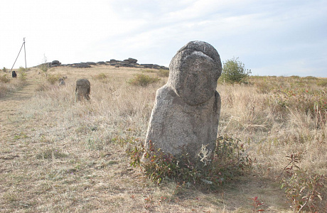 Каменная степь

	
