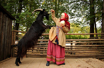 Витославлицы