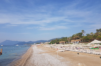 Текирова