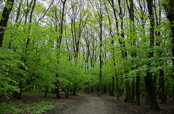 Воронцовский парк