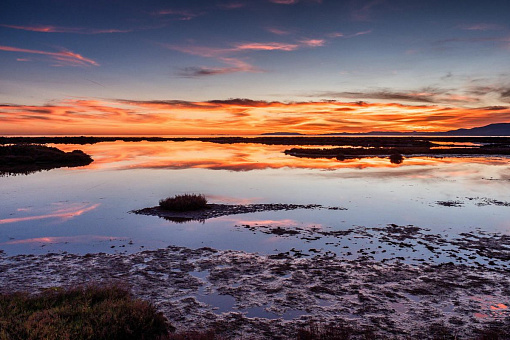 Delta de l'Ebre